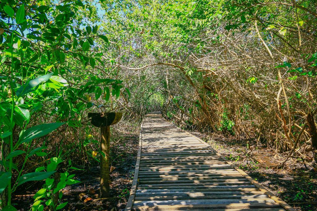 Inn Ecologica Bangalo De
